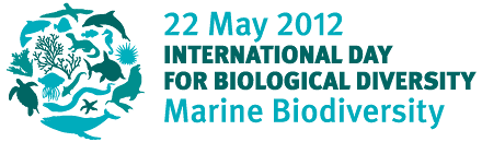 Oggi, 22 maggio, è la Giornata Mondiale della Biodiversità