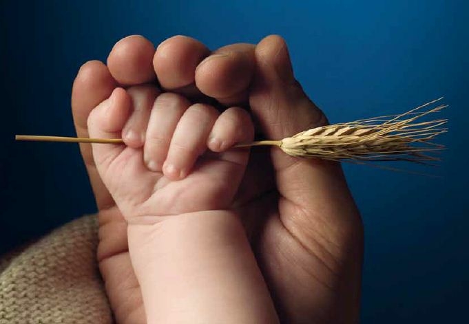 Crescere o decrescere? Nel 2050 potremo dar da mangiare a tutti?
