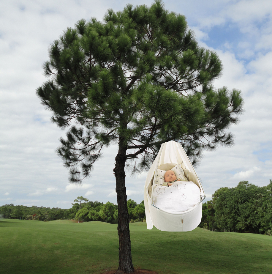 Un bimbo, un albero