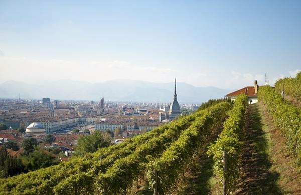 Vigne di città: gemellate Torino e Parigi