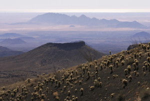 Réserve de biosphère El Pinacate et le Grand désert d''Altar