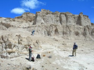 Miocene-aged-deposits-375x281