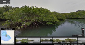 Maps_mangrovie_maps-1024x545