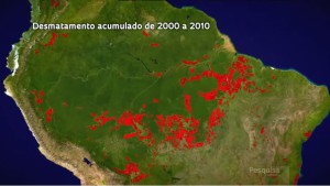 deforestazione_2000-2010