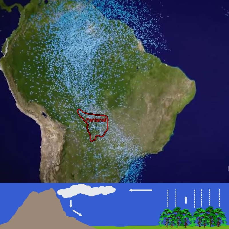 I “Fiumi Volanti” in secca mettono a rischio il Pantanal