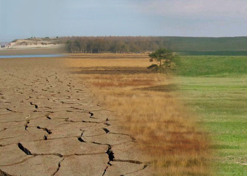 Fermiamo l’avanzata dei deserti