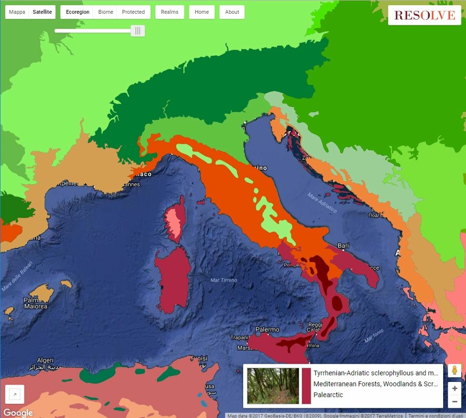Alla scoperta di biomi ed ecoregioni