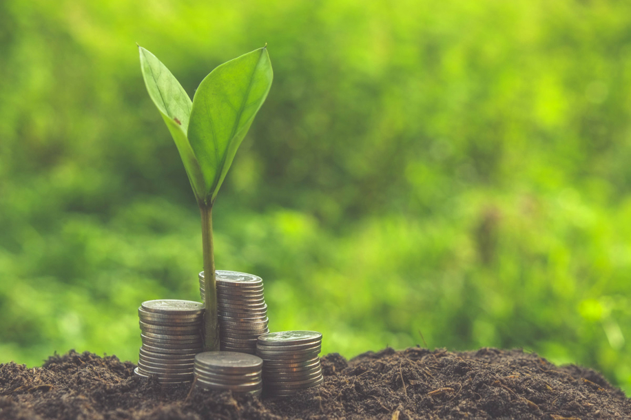 Il crowdfunding a scuola per lo sviluppo sostenibile