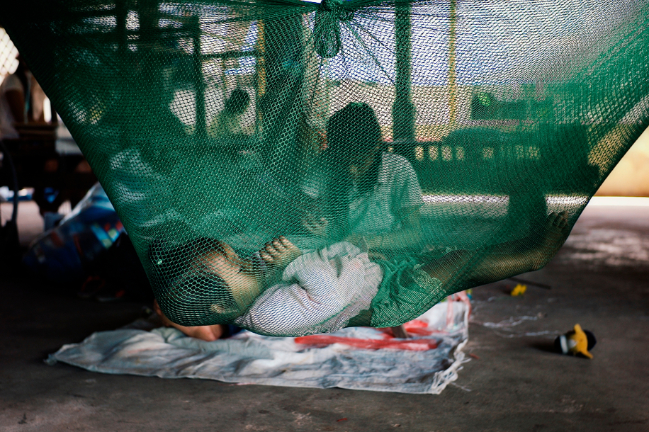 Zanzare killer: i progressi nella lotta contro la malaria