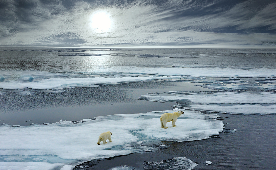 L'allarme degli scienziati: l'Artico scotta