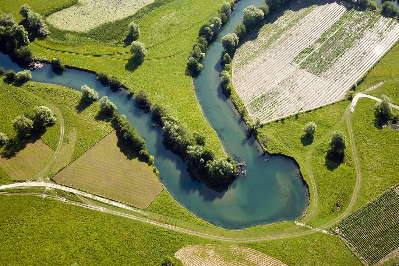 Da Geo Tre vasta scelta di piante artificiali