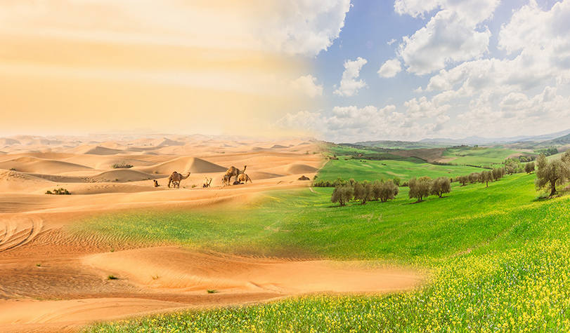 Agenda 2030 – Goal 15: La vita sulla terra