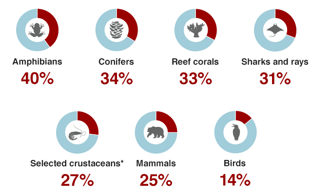 specie in estinzione Red List IUCN