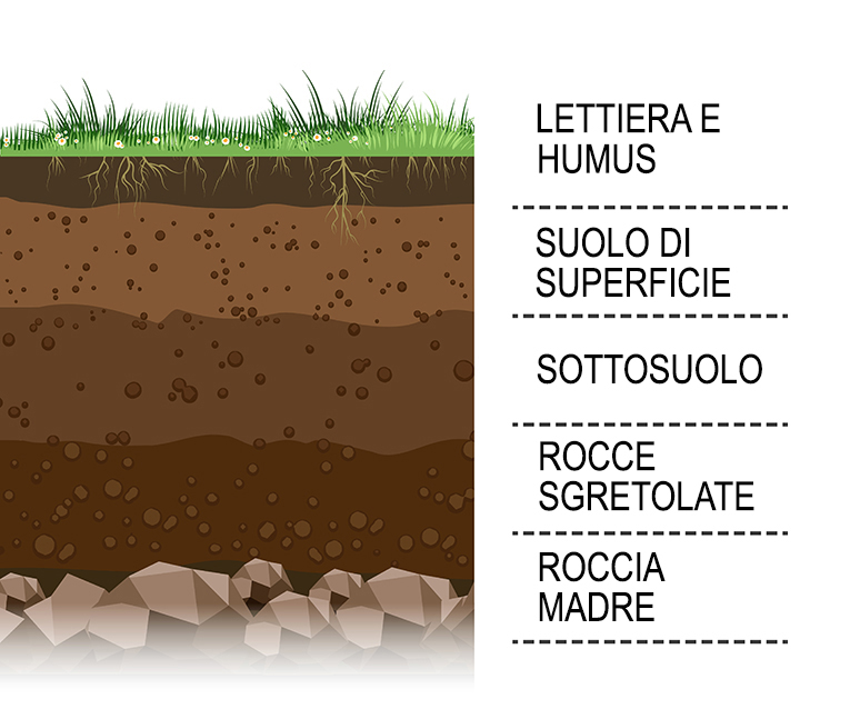 schema-strati-suolo-composizione