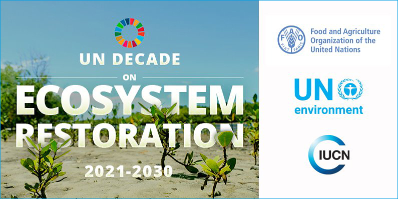 2021-2030: il decennio ONU per il Ripristino dell'Ecosistema