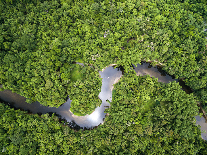 foresta-pluviale-equatoriale-amazzonia