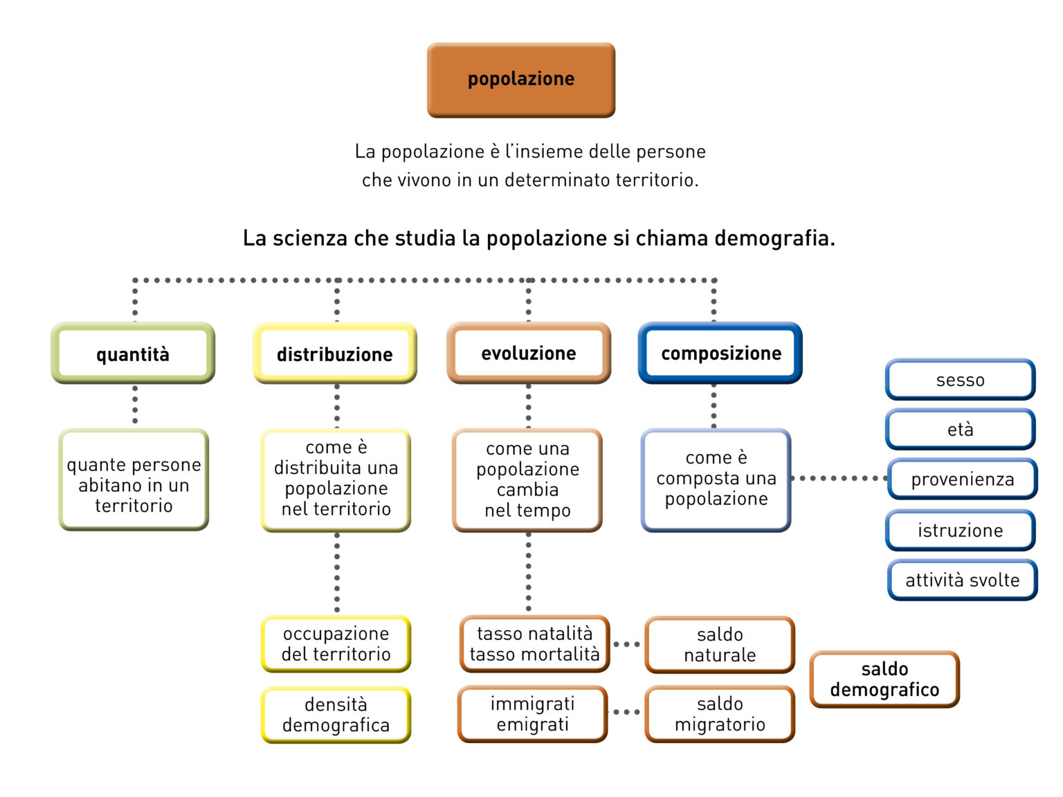 Demografia Schema