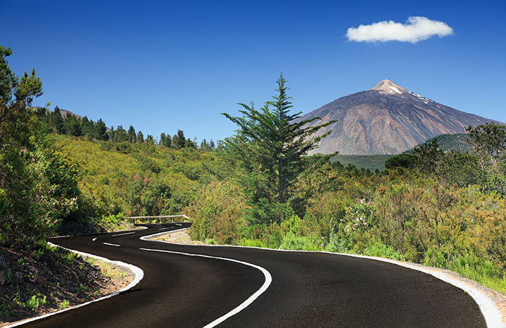 vulcano-Teide-Tenerife-strada-foresta-conifere