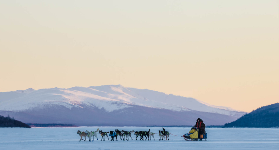 Geosport #02 - Iditarod: uomini e cani nel gelido e selvaggio Alaska