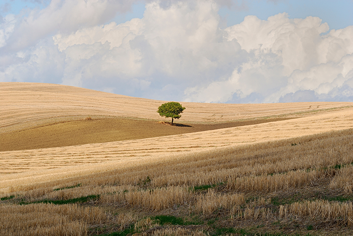 Tavoliere-Puglia-patrimonio-ambientale