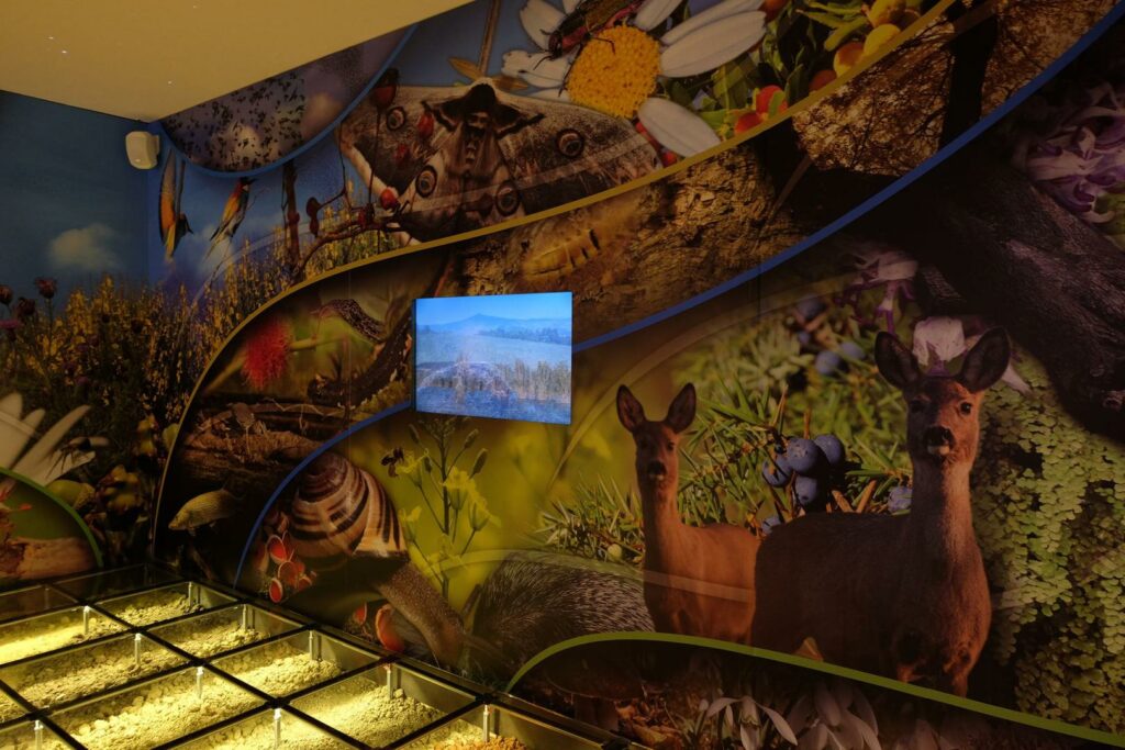 museo-biodiversita-monticiano-siena-sala
