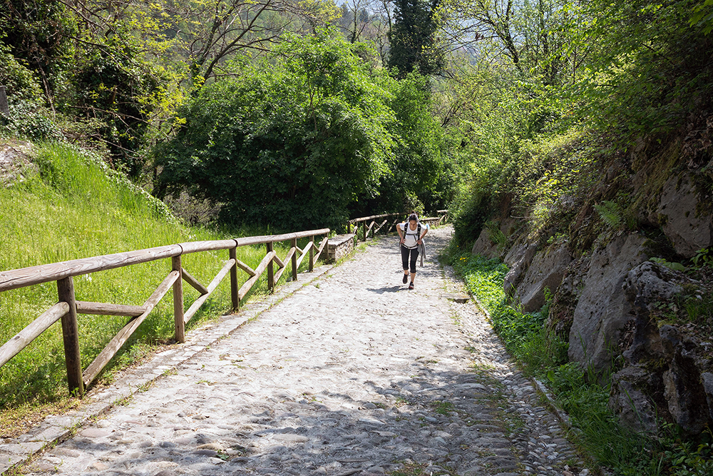 Parco dei Colli Bergamo salita