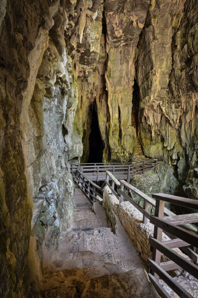 Oasi-WWF-Grotte-del Bussento-grotte