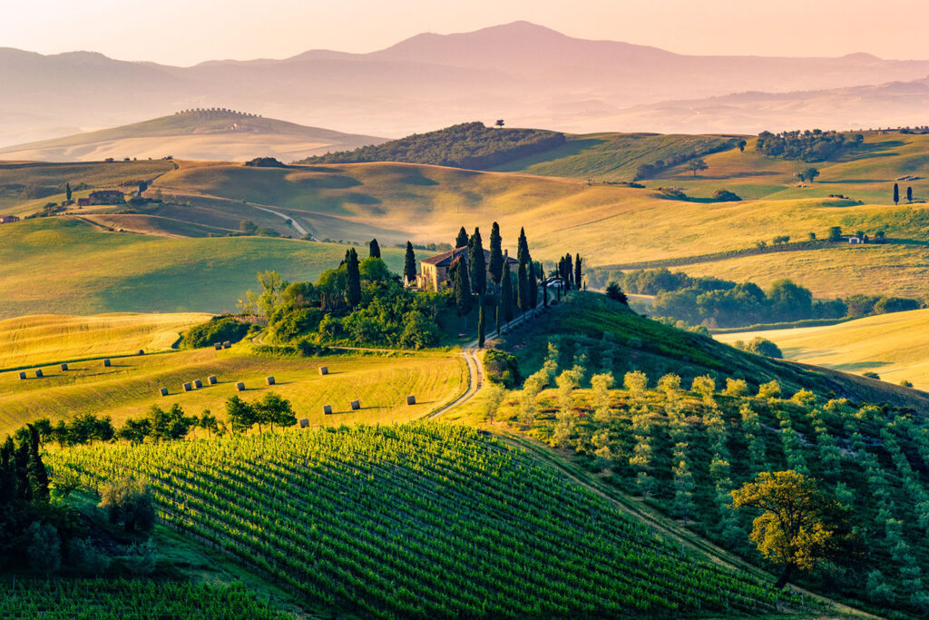 Val-d-Orcia-panorama-vigneti-ulivi