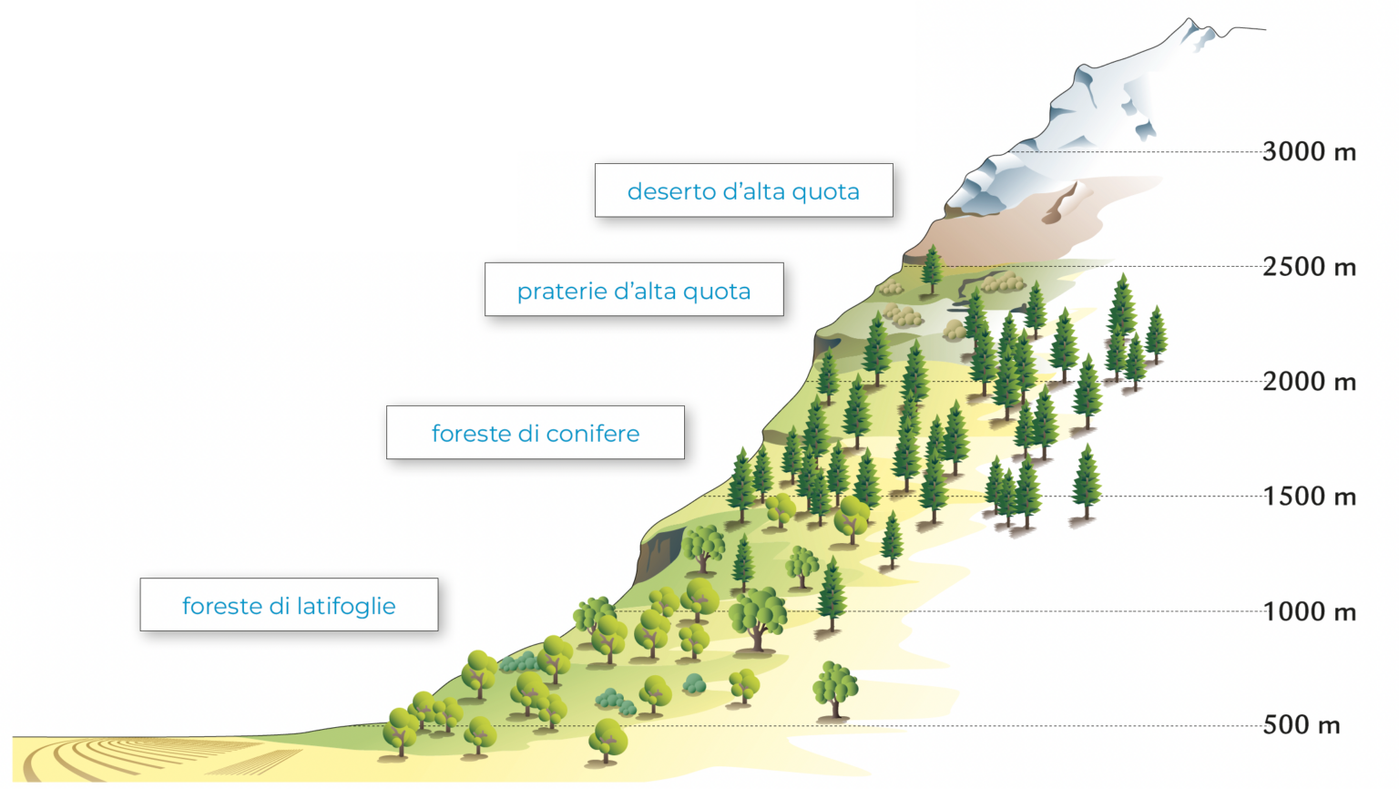 In Cima Allo Zugspitze Quale Sostenibilit Per L ambiente Alpino in-cima-allo-zugspitze-quale-sostenibilit-per-l-ambiente-alpino