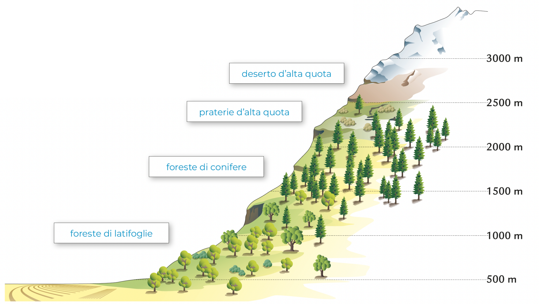 In Cima Allo Zugspitze Quale Sostenibilit Per L Ambiente Alpino