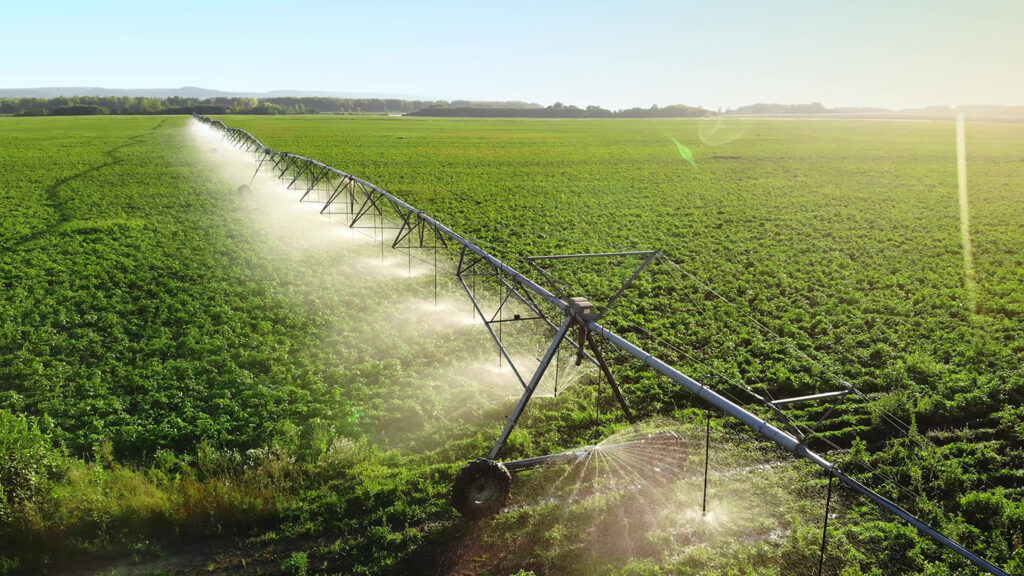 irrigazione-campi-spreco-acqua