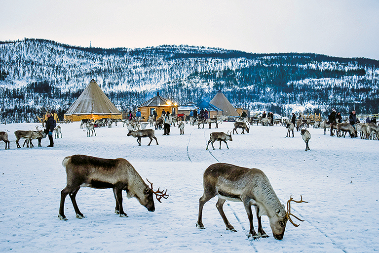 Fare geografia con i videoreportage: il patto dei Sami con le renne