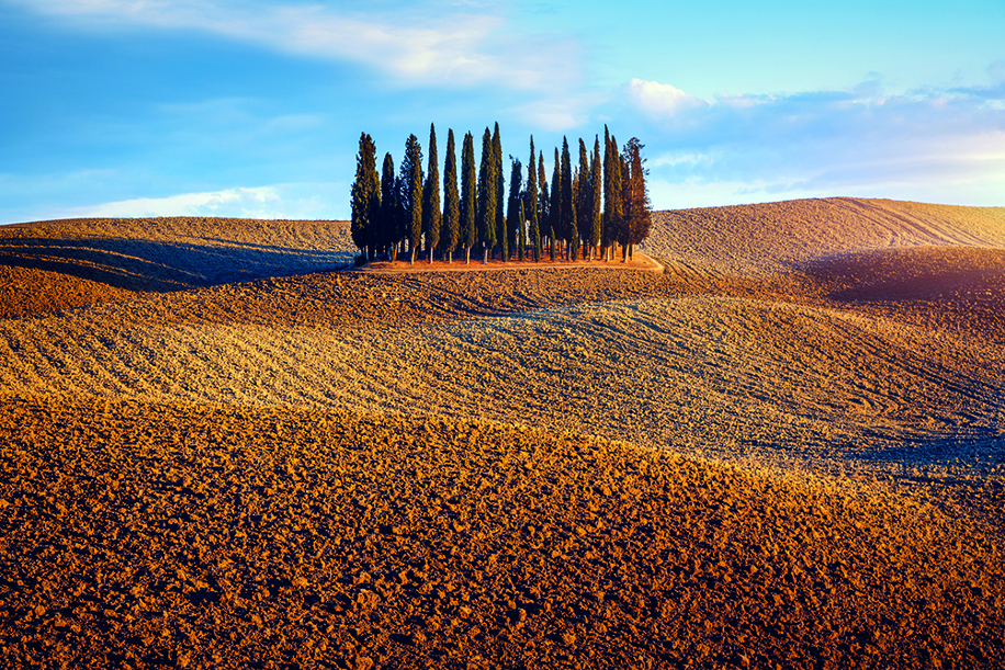 La difesa del suolo: ascolta la Terra per proteggere l'ambiente