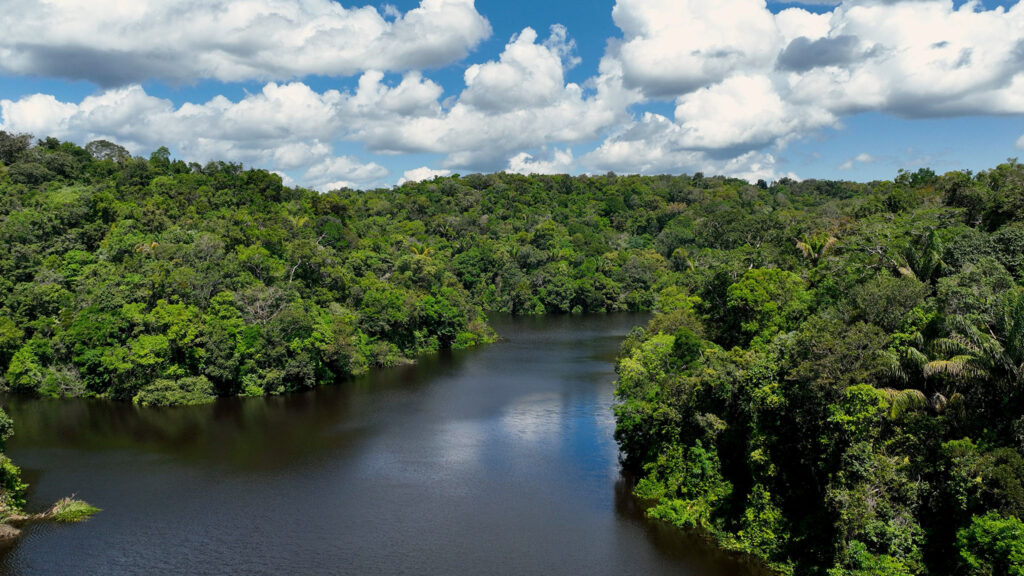 riforestazione-Amazzonia-obbligazioni-Banca-Mondiale