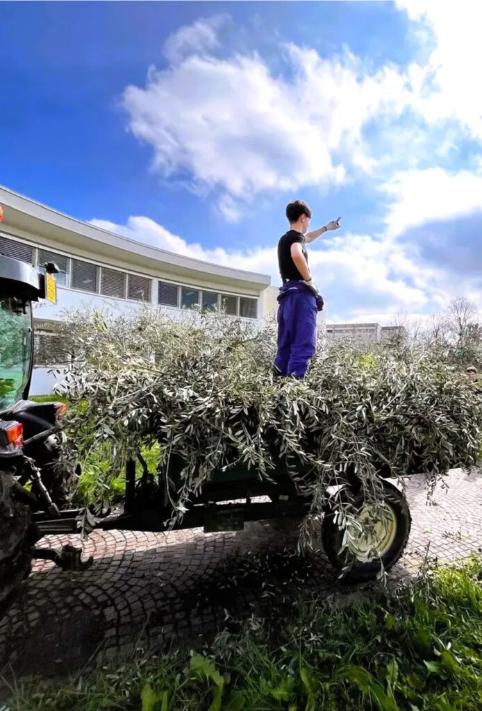 Fotografi di classe Secondaria secondo grado Padova