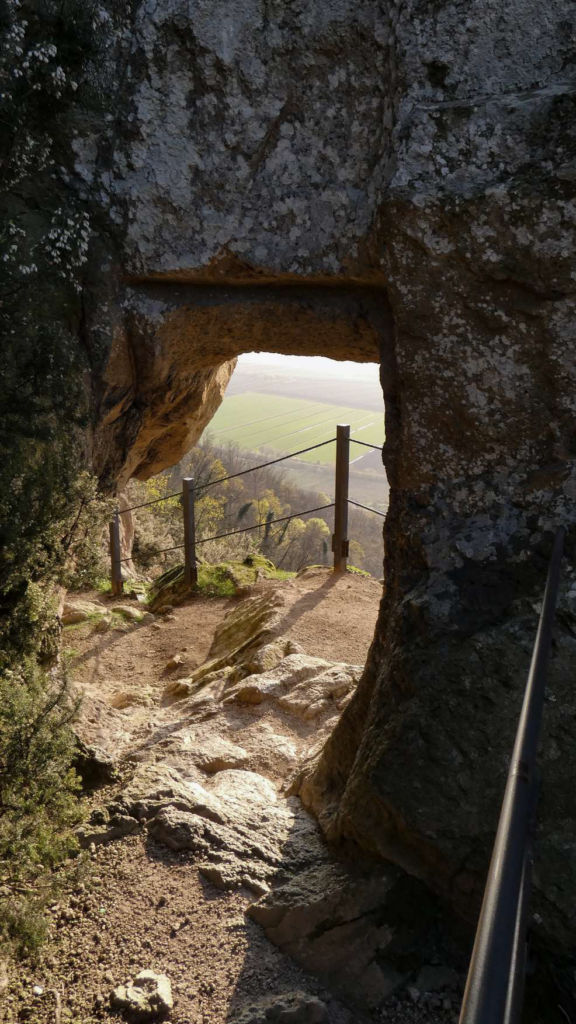 Fotografi di classe Secondaria secondo grado Atesino Este
