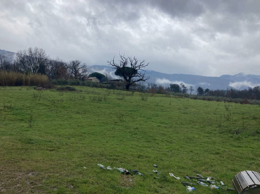 Fotografi di classe Primaria Ancona