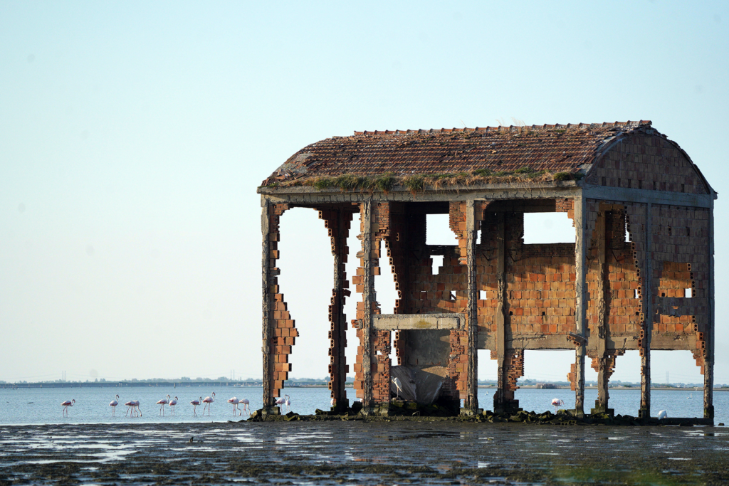Fotografi di classe Secondaria secondo grado Adria