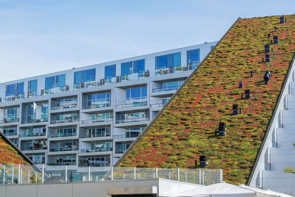 rigenerazione-urbana-copenhagen-residenza-tetti-verdi