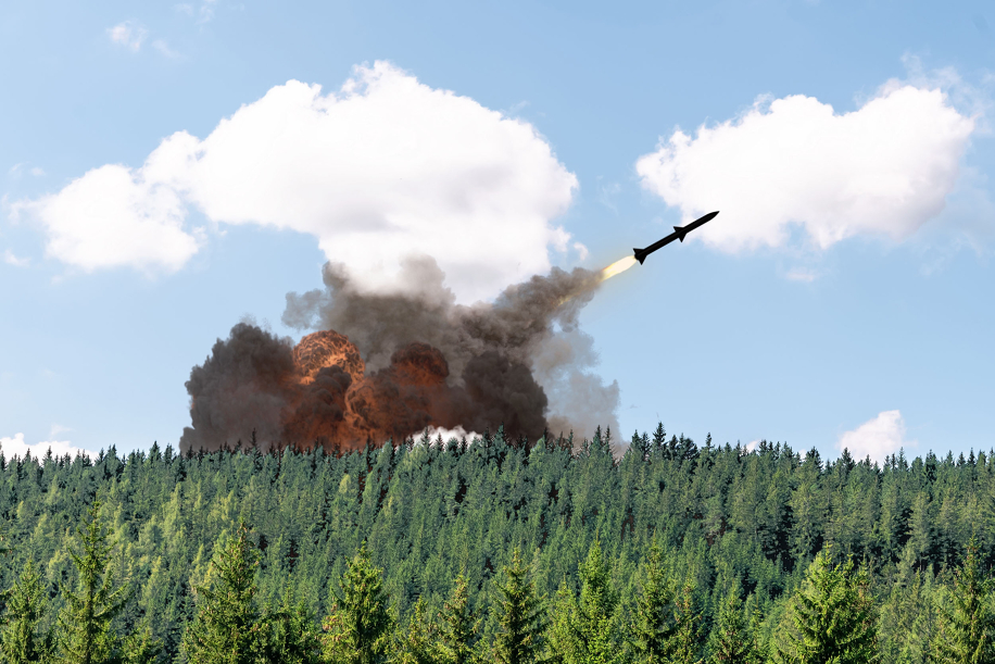 La guerra distrugge anche l'ambiente