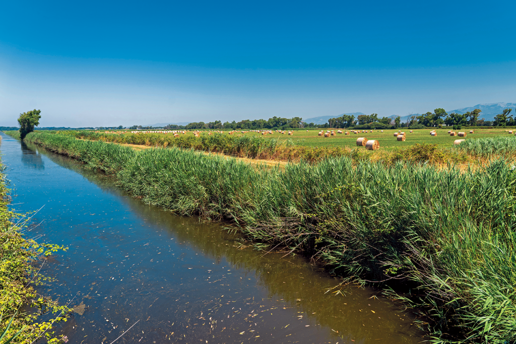 Agro-Pontino-bonifica