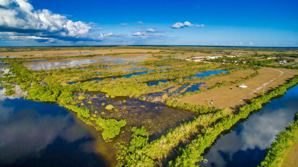 Everglades-Florida-zone-umide