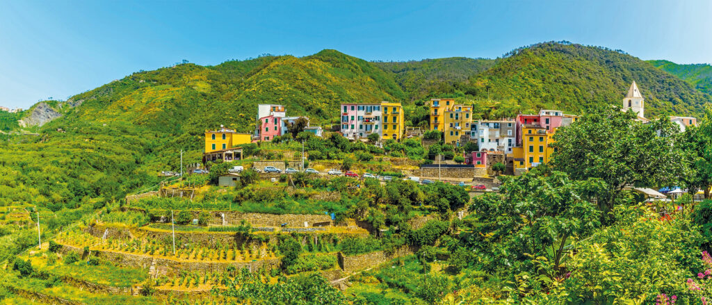 Cinque-Terre-terrazzamenti