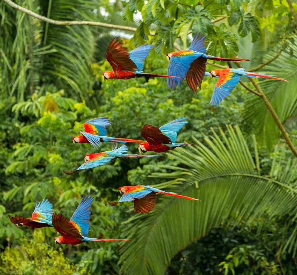 rispetto-dell-ambiente-biodiversita